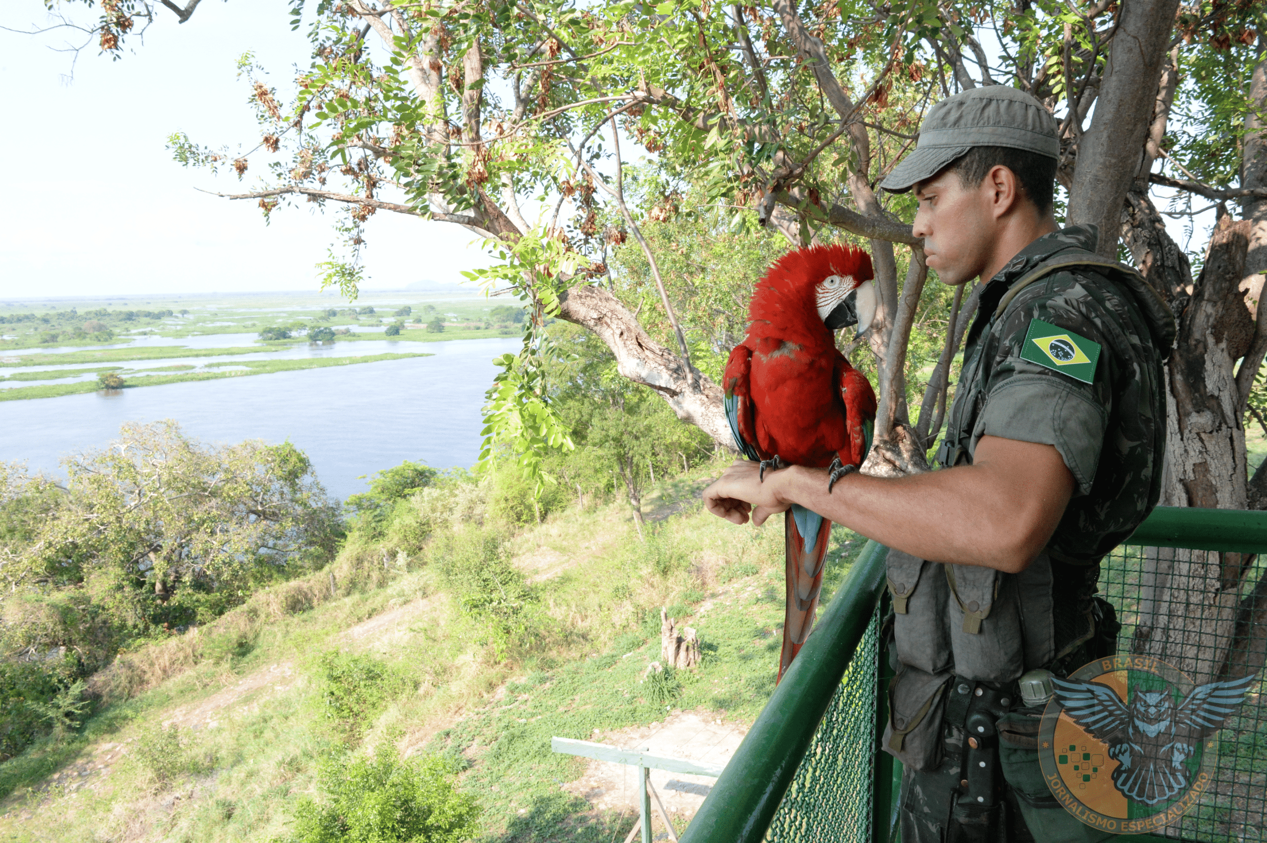 EXÉRCITO BRASILEIRO CELEBRA DIA DO MEIO AMBIENTE COM AÇÕES DE SUSTENTABILIDADE 🇧🇷